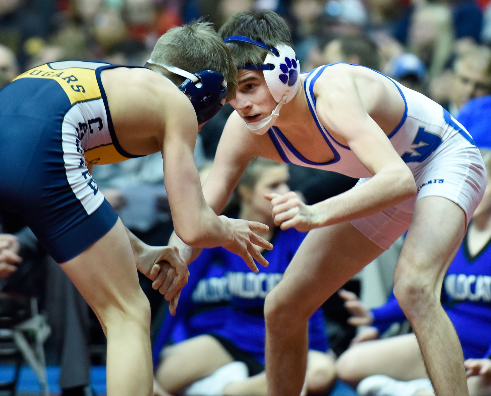 2019 State Wrestling Saturday
